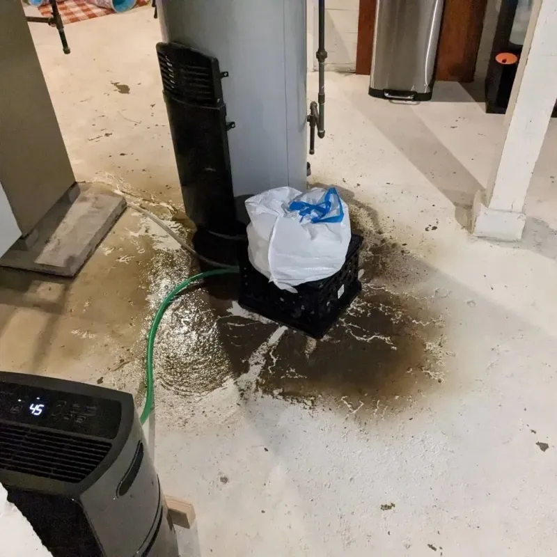 Sewage Backup Cleanup Service in Oxoboxo River, CT